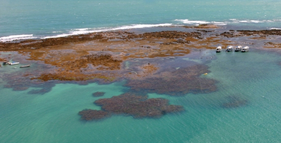 Vista área das Piscinas Naturais de Pirangi