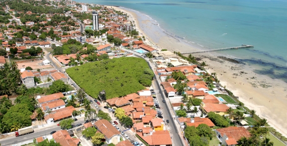 Vista área do Maior Cajueiro do Mundo, que tem uma copa de mais de 8.500 metros quadrados.