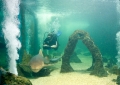 O Aquário Natal oferece mergulho com cilindro no tanque de tubarões acompanhado com instrutora.