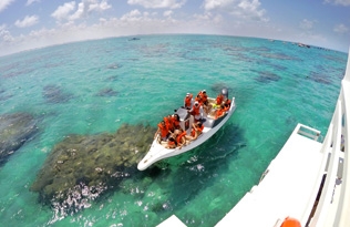 Maracajaú Mergulho com lancha