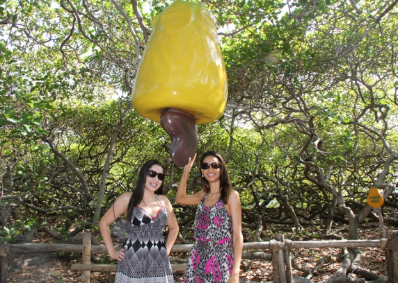 As amigas Maiane e Dairis, de  São Paulo, capital, no cajueiro de Pirangi.